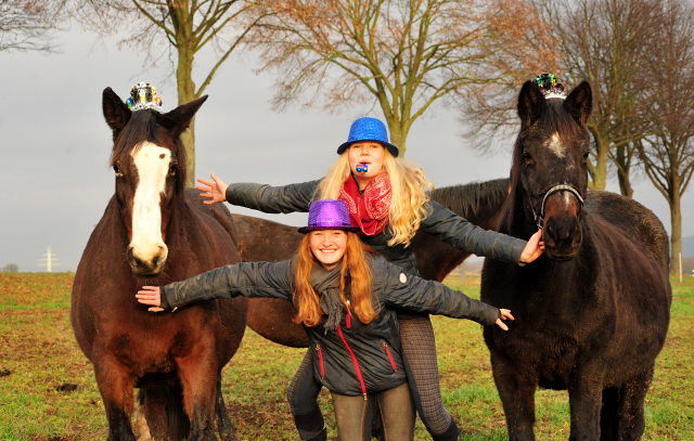  - Foto: Beate Langels - Trakehner Gestt Hmelschenburg