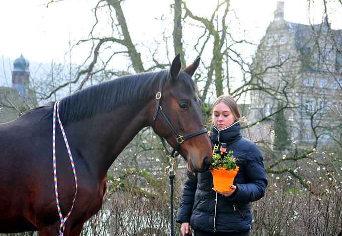 Valenta und Mia am 1. Januar 2020 in Hmelschenburg - Trakehner Gestt Hmelschenburg - Beate Langels