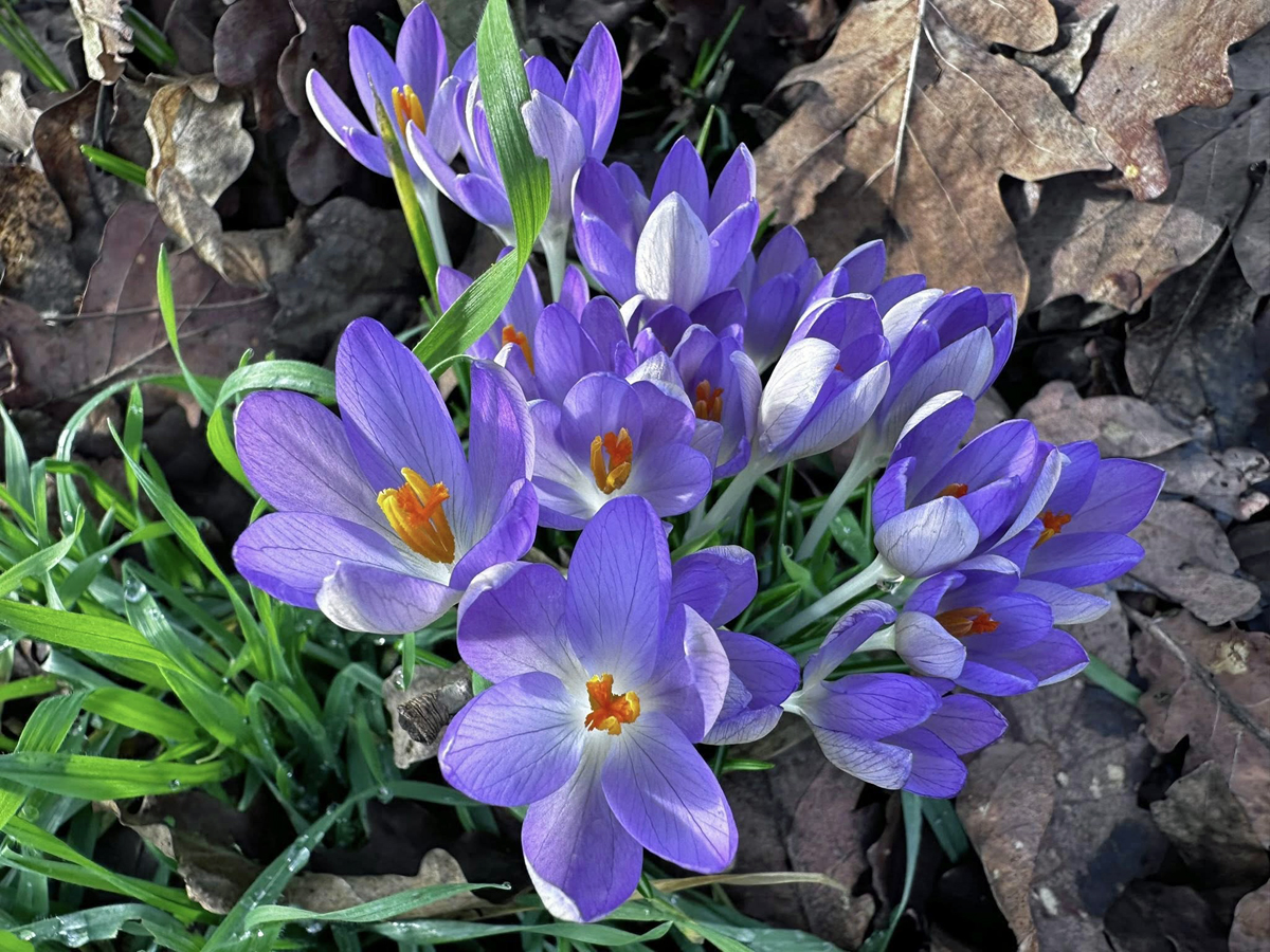  - Foto: Beate Langels