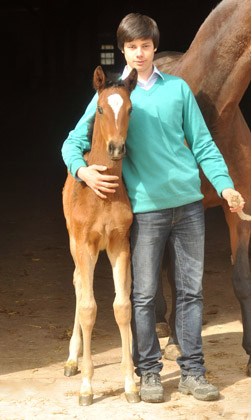 Trakehner Stutfohlen von Saint Cyr u.d. Prmien- und Staatsprmienstute Karena v. Freudenfest - Foto: Beate Langels, Trakehner Gestt Hmelschenburg