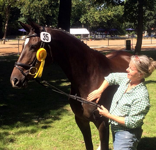 Trakehner Pr.u.StPrSt. Kendra von Freudenfest - Gestt Schplitz - Foto: B. Langels