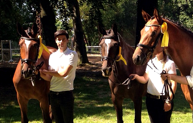 Trakehner Pr.u.StPrSt. Katniss Everdeen v. Saint Cyr  - Foto: B. Langels