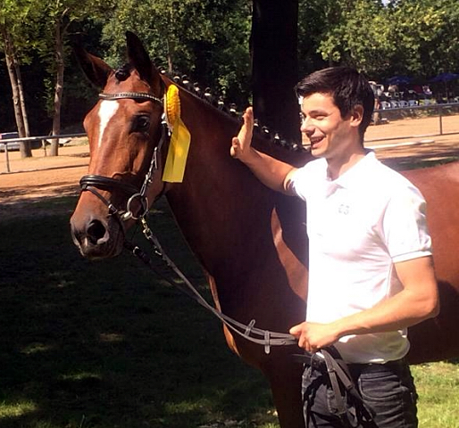 Trakehner Pr.u.StPrSt. Katniss Everdeen v. Saint Cyr  - Gestt Schplitz - Foto: B. Langels