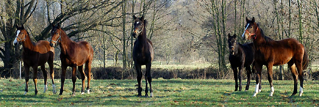 Januar 2009