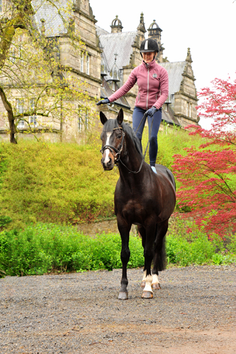 Saint Cyr - 2. Mai 2021 - Foto: Beate Langels -
Trakehner Gestüt Hämelschenburg