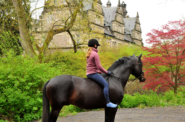 Saint Cyr - 2. Mai 2021 - Foto: Beate Langels -
Trakehner Gestüt Hämelschenburg