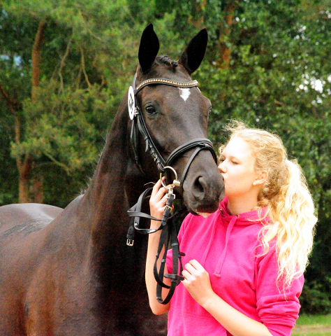 Gacyria von Saint Cyr als Prmienanwrterin des Trakehner Verbandes - Foto: Beate Langels