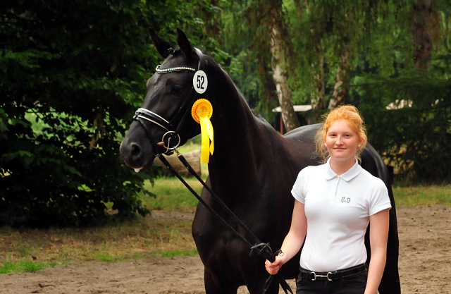 Smilla v. Oliver Twist u.d. Schwalbenfee v. Freudenfest - ausgezeichnet als Prmienanwrterin des Trakehner Verbandes - 
Foto: Beate Langels