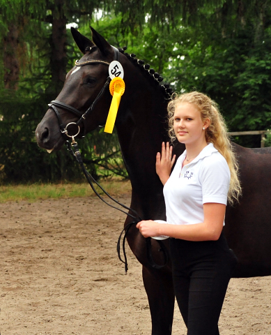 Gacyria - Trakehner Prmienstute von Saint Cyr u.d. Greta Garbo v. Alter Fritz, Gestt Hmelschenburg - Beate Langels