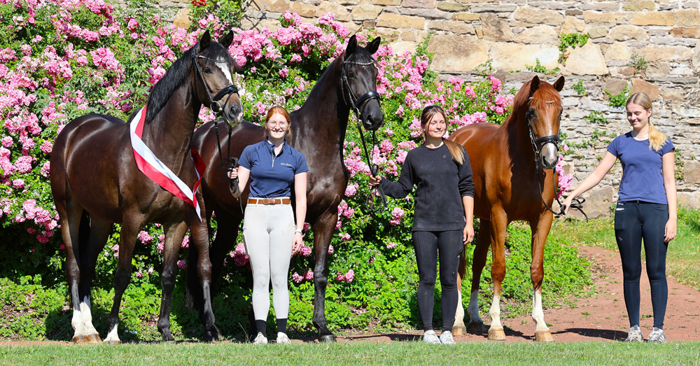 Impressions - July 2026 - Trakehner Gest�t H�melschenburg  - Foto: Beate Langels