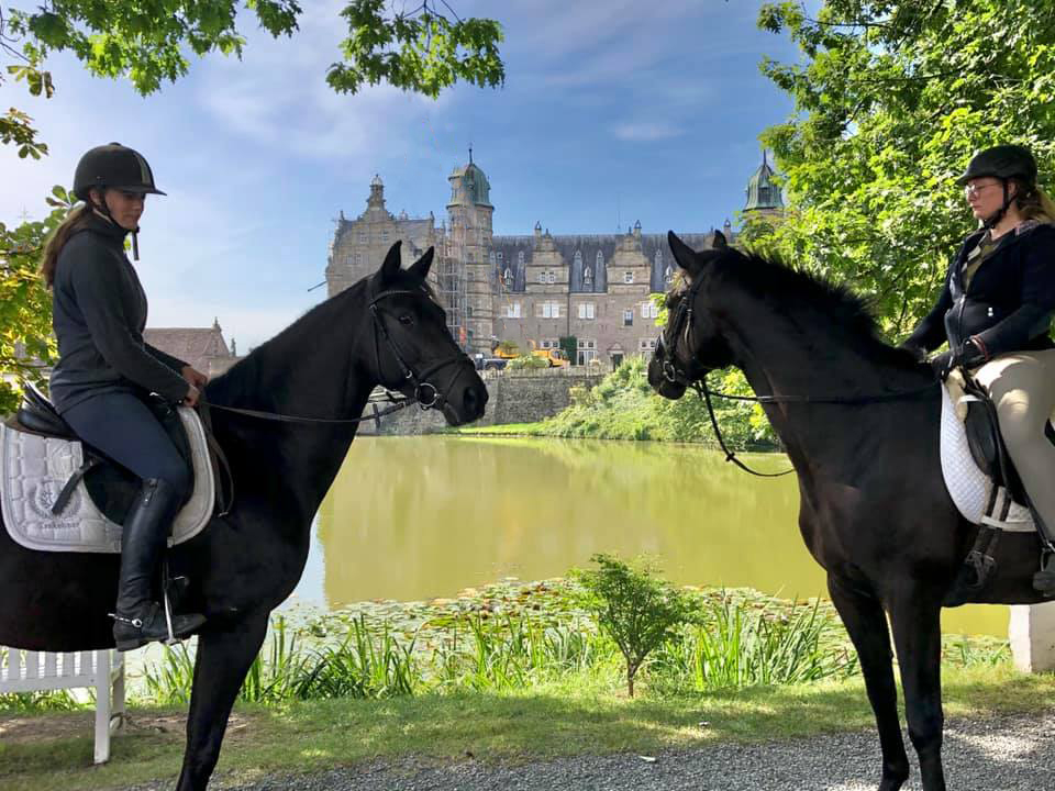 Schwalbenzauber und ihr 3jhriger Vollbruder Denoire v. De Niro Sohn aus der Schwalbendiva v. Totilas - Foto: Beate Langels - Trakehner Gestt Hmelschenburg