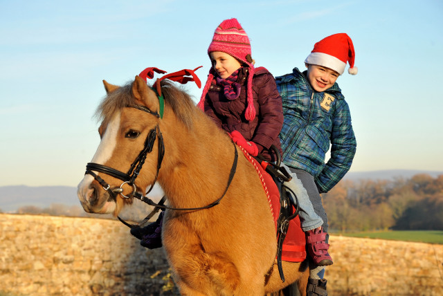 Die Jngsten aus dem Hause Langels - Greta und Jasper Delliehausen - Trakehner Gestt Hmelschenburg - Foto: Beate Langels