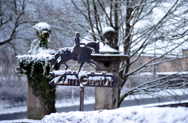 Schloss Hmelschenburg am 3. Januar 2016 -
Trakehner Gestt Hmelschenburg