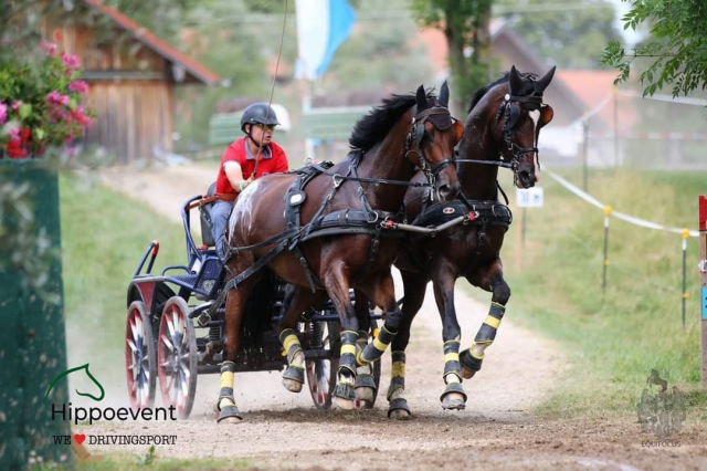 Shajan U v. Shavalou im Fahrsport der Kl. S erfolgreich