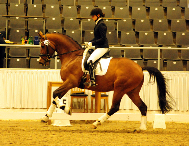 High Motion v. Saint Cyr und Birte Vera Nass - Fotos: Beate Langels
