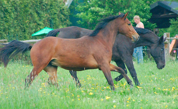 im Mai 2009