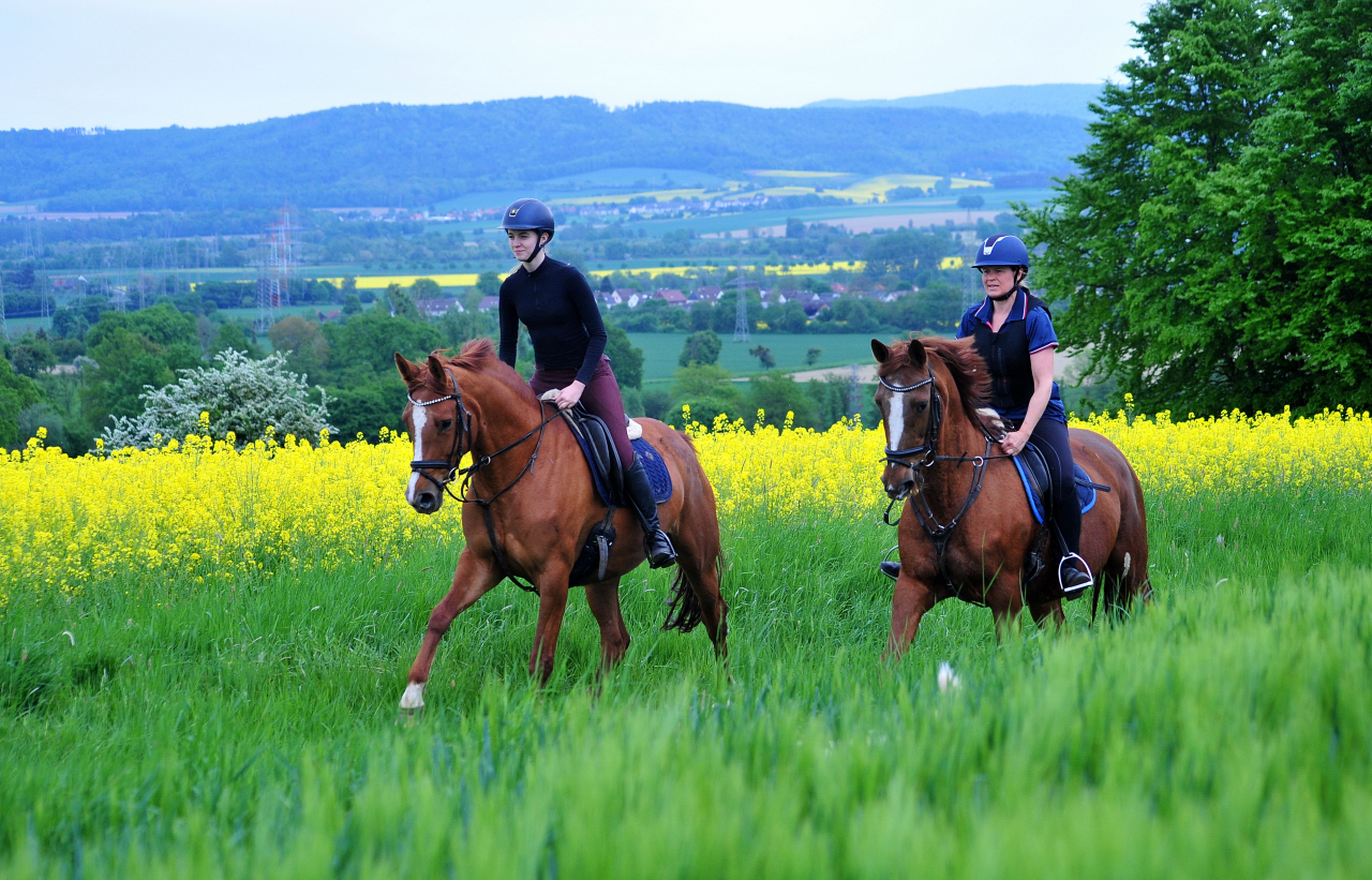 Klassic Motion und Kavalou - 3.Mai 2025 - Trakehner Gestt Hmelschenburg