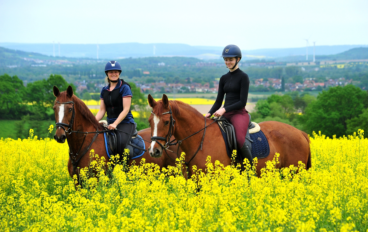 Klassic Motion und Kavalou - 3.Mai 2025 - Trakehner Gestt Hmelschenburg