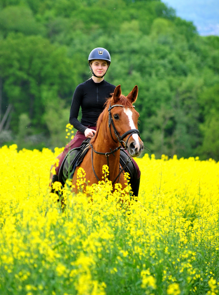 Klassic Motion u. Greta am 3.Mai 2025 - Trakehner Gestt Hmelschenburg