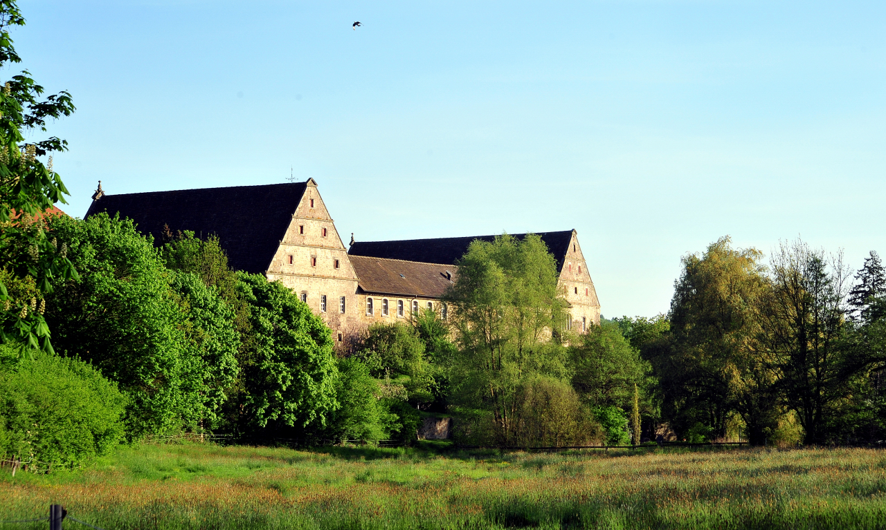 2. Mai 2025 - Trakehner Gestt Hmelschenburg