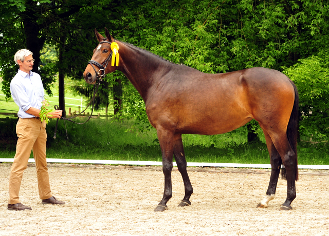 Vicenta von Exclusiv u.d. Vicenza v. Showmaster - Trakehner Gestt Hmelschenburg