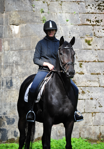 Schwalbenzauber und ihr 3jhriger Vollbruder Denoire v. De Niro Sohn aus der Schwalbendiva v. Totilas - Foto: Beate Langels - Trakehner Gestt Hmelschenburg