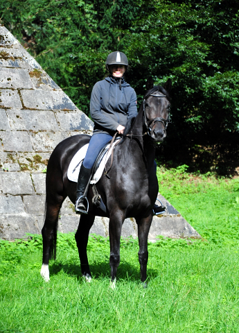 Schwalbenzauber und ihr 3jhriger Vollbruder Denoire v. De Niro Sohn aus der Schwalbendiva v. Totilas - Foto: Beate Langels - Trakehner Gestt Hmelschenburg