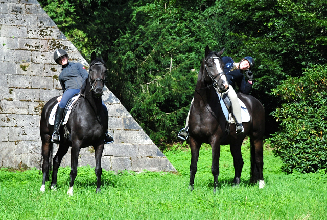 Denoir und seine Vollschwester Schwalbenzauber  - Foto: Beate Langels - Trakehner Gestt Hmelschenburg