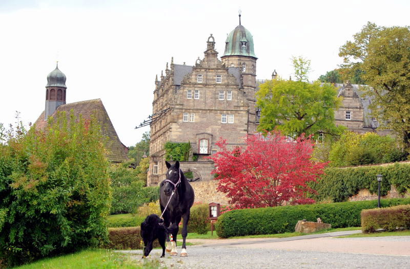 Jojo und der Trakehner Hauptbeschler Kostolany in Hmelschenburg, Foto: Beate Langels, Trakehner Gestt Hmelschenburg