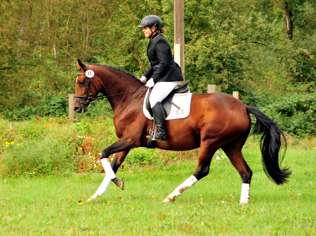 Prmienstute Karida von Oliver Twist u.d. Pr.u.StPrSt. Karena v. Freudenfest  - Foto: Beate Langels -  
Trakehner Gestt Hmelschenburg