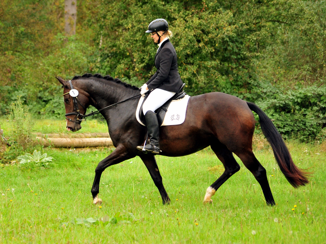 Prmienstute Tacyra v. Saint Cyr u.d. Pr.u.StPrSt. Tavolara v. Exclusiv  - Foto: Beate Langels -  
Trakehner Gestt Hmelschenburg