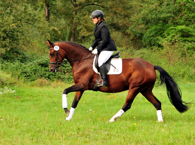 Prmienstute Karida von Oliver Twist u.d. Pr.u.StPrSt. Karena v. Freudenfest  - Foto: Beate Langels -  
Trakehner Gestt Hmelschenburg