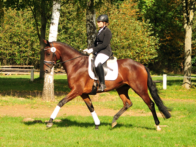 Prmienstute Valenta v. Oliver Twist x Showmaster - Trakehner Gestt Hmelschenburg - Beate Langels