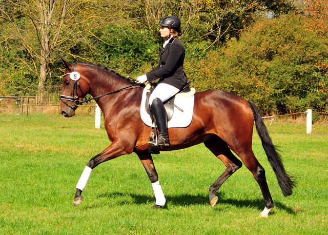 Prmienstute Valenta v. Oliver Twist x Showmaster - Trakehner Gestt Hmelschenburg - Beate Langels