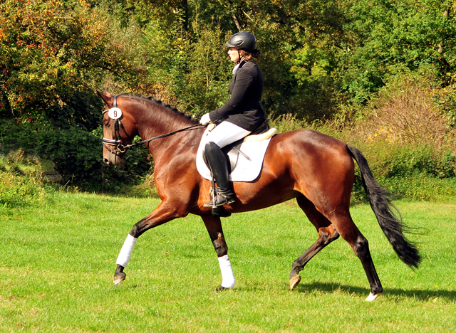 Prmienstute Valenta v. Oliver Twist x Showmaster - Trakehner Gestt Hmelschenburg - Beate Langels
