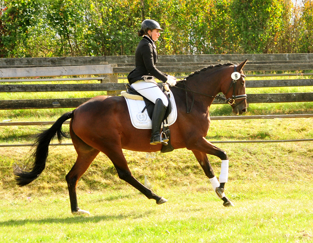Prmienstute Valenta v. Oliver Twist x Showmaster - Trakehner Gestt Hmelschenburg - Beate Langels