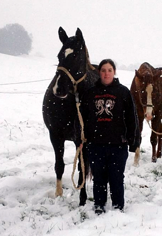 Die tragenden Stuten auf dem Weg in den Stall - 4. Januar 2016  im
Trakehner Gestt Hmelschenburg