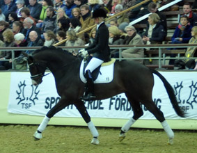 3jhriger Trakehner Hengst Grand Corazon v. Symont x Red Patrick xx geritten von Kira Ripphoff - Foto: Beate Langels - Trakehner Gestt Hmelschenburg