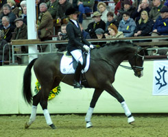 3jhriger Trakehner Hengst Grand Corazon v. Symont x Red Patrick xx geritten von Kira Ripphoff - Foto: Beate Langels - Trakehner Gestt Hmelschenburg