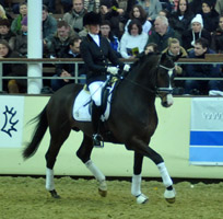 3jhriger Trakehner Hengst Grand Corazon v. Symont x Red Patrick xx geritten von Kira Ripphoff - Foto: Beate Langels - Trakehner Gestt Hmelschenburg