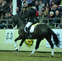 3jhriger Trakehner Hengst Grand Corazon v. Symont x Red Patrick xx geritten von Kira Ripphoff - Foto: Beate Langels - Trakehner Gestt Hmelschenburg