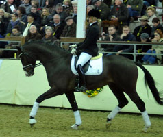 3jhriger Trakehner Hengst Grand Corazon v. Symont x Red Patrick xx geritten von Kira Ripphoff - Foto: Beate Langels - Trakehner Gestt Hmelschenburg