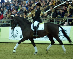 3jhriger Trakehner Hengst Grand Corazon v. Symont x Red Patrick xx geritten von Kira Ripphoff - Foto: Beate Langels - Trakehner Gestt Hmelschenburg