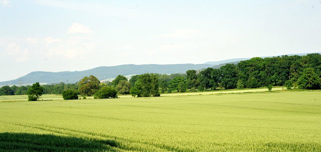 Die Hmelschenburger Feldmark - Foto: Beate Langels -  
Trakehner Gestt Hmelschenburg