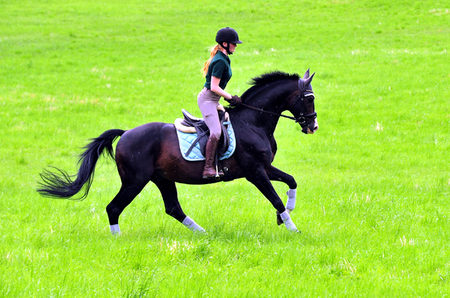 Der 20jhrige Shavalou und Johanna - Foto: Beate Langels - Trakehner Gestt Hmelschenburg