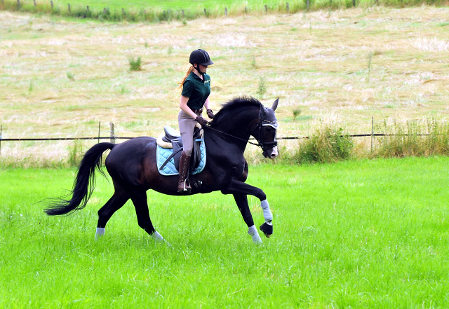 Der 20jhrige Shavalou und Johanna - Foto: Beate Langels - Trakehner Gestt Hmelschenburg