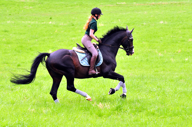 Der 20jhrige Shavalou und Johanna - Foto: Beate Langels - Trakehner Gestt Hmelschenburg