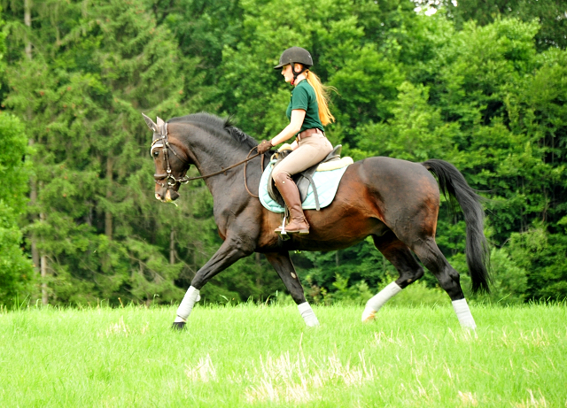 Shavalou und Johanna - Foto: Beate Langels - Trakehner Gestt Hmelschenburg