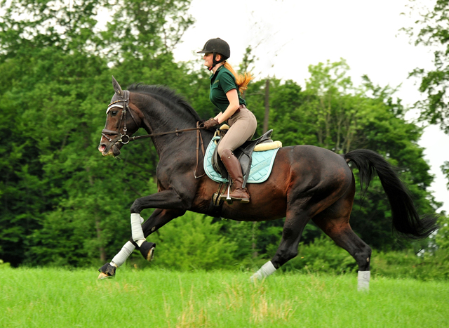 Der 20jhrige Shavalou und Johanna - Foto: Beate Langels - Trakehner Gestt Hmelschenburg