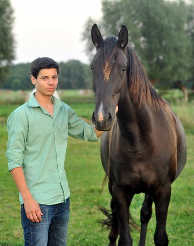Prmien- u. Staatsprmienstute Schwalbenmagie v. Exclusiv und Richard - am 4.September 2012, Foto: Beate Langels, Trakehner Gestt Hmelschenburg